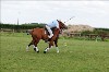 UKPA  NC Sat_1162